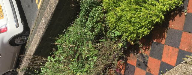 Best  terraced house front garden ideas
