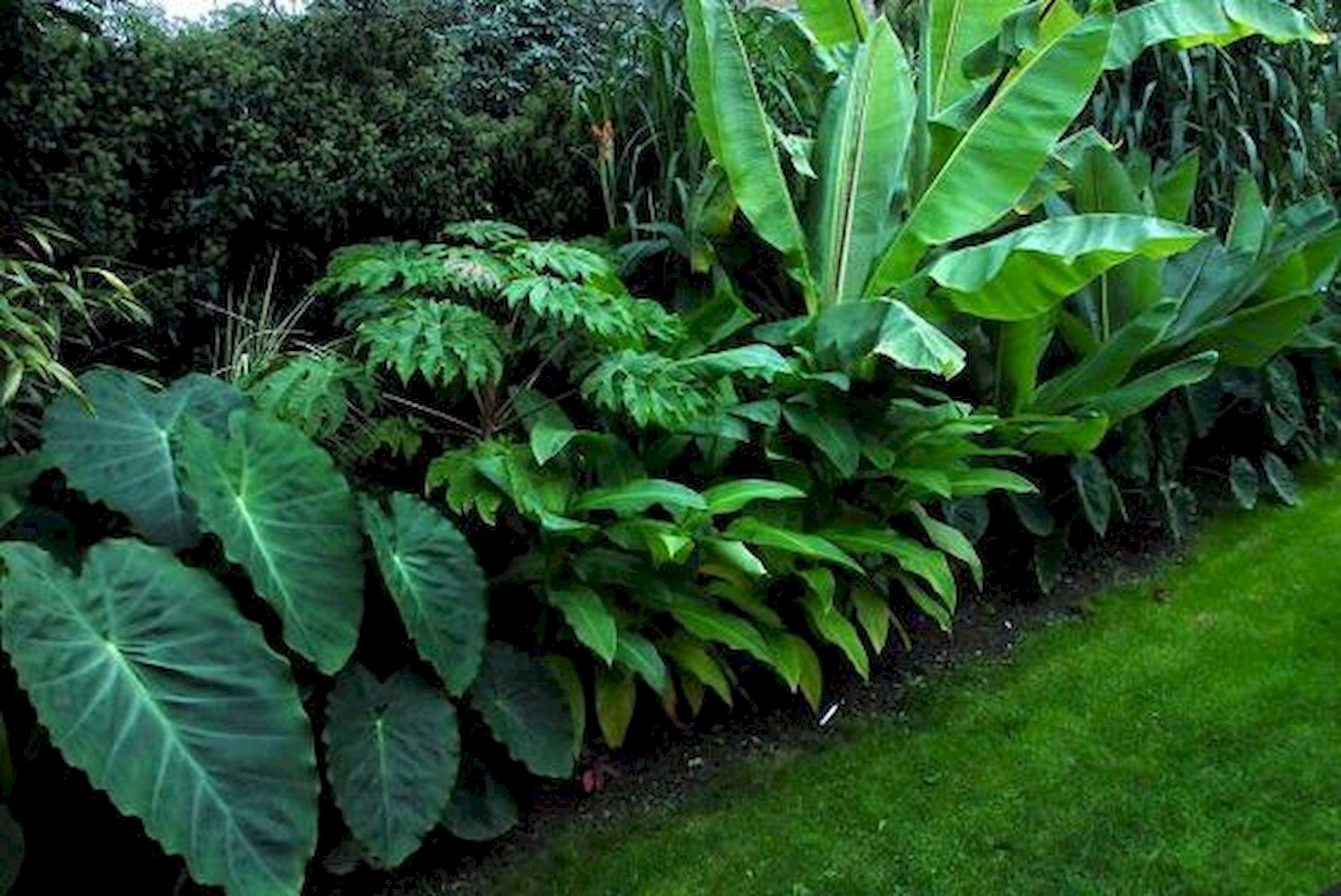 30 Amazing and Beautiful Tropical Garden Ideas (24)