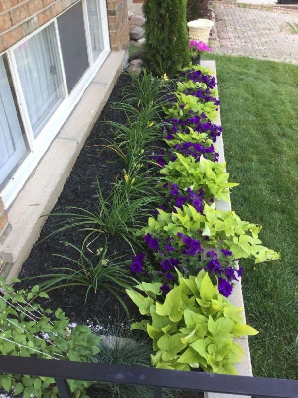 Cool  flower bed ideas front of house