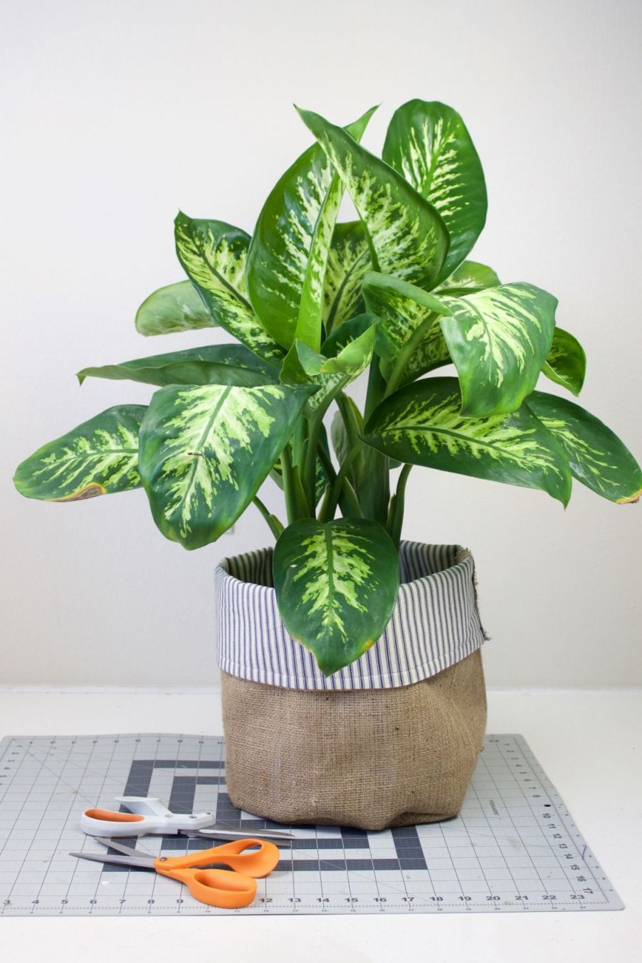 Amazing indoor plant pot decoration ideas